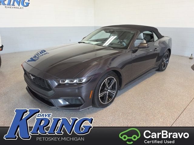 2024 Ford Mustang EcoBoost in Gray — front three-quarter view